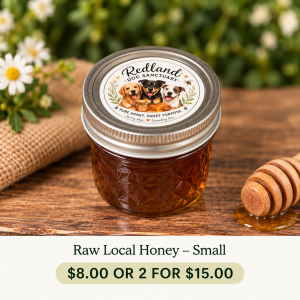 Raw Local Honey - Small