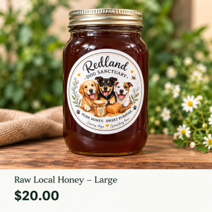 Raw Local Honey - Large